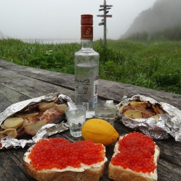 Стол с шашлыками и выпивкой