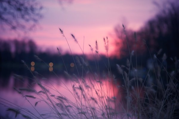 Природа Вдохновение