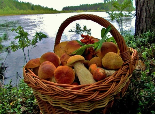 Божья красота