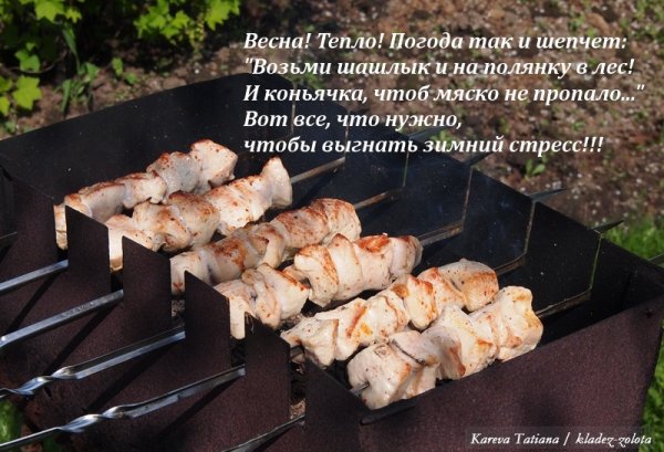 Чаепитие на природе