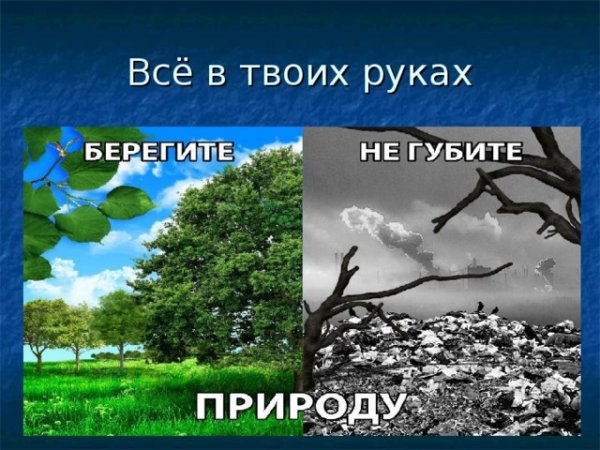 Человек губит природу