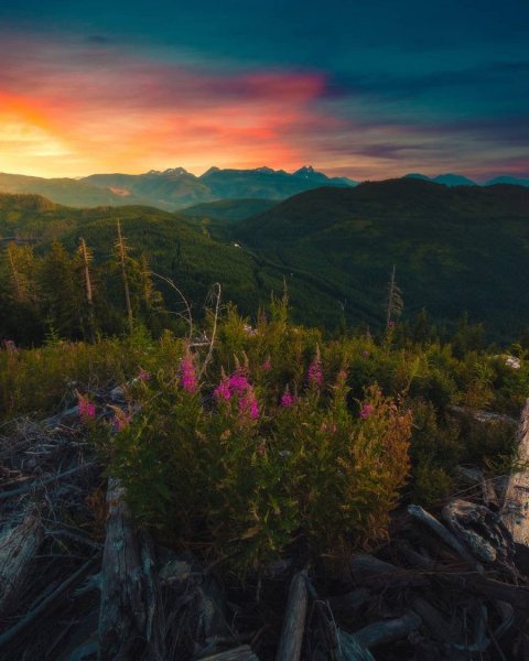 Природа для инсты