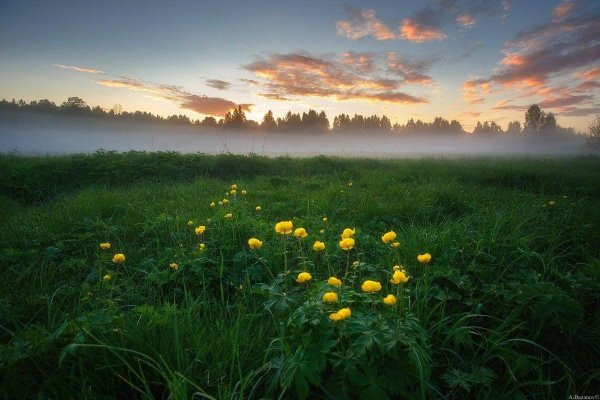 Июнь природа