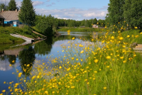 Красивые летние пейзажи