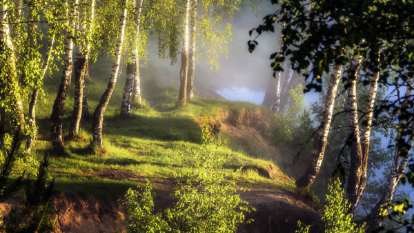 Красота русской природы