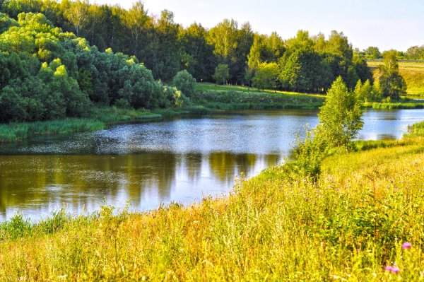 Лето речка