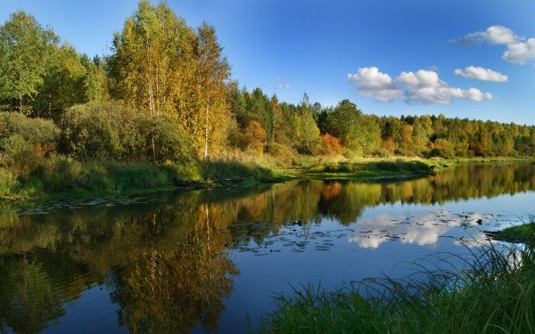 Река теша Арзамас