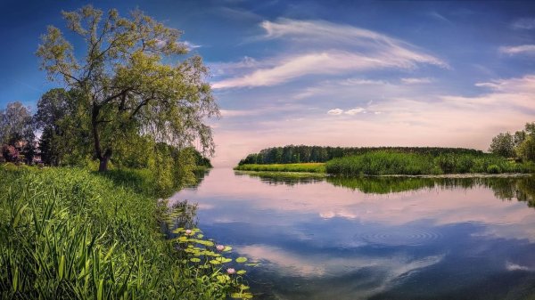 Природа река