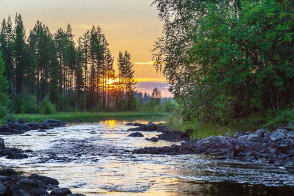 Природа Северной Карелии