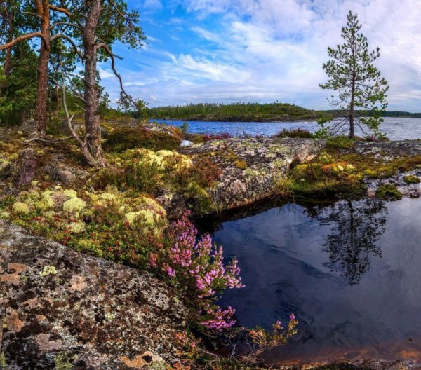 Природа Карелии Ладожское озеро