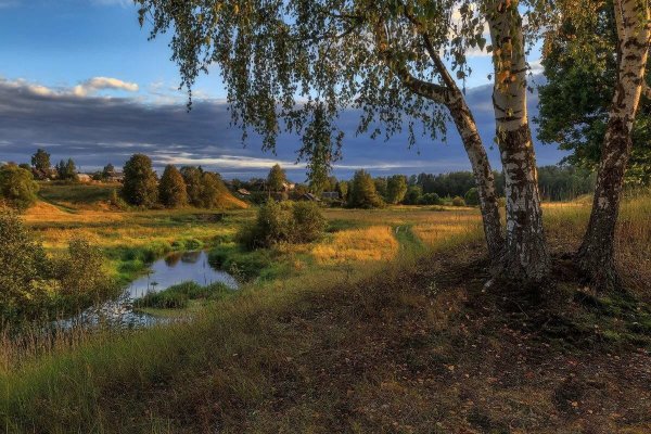 Природа деревня речка Березки