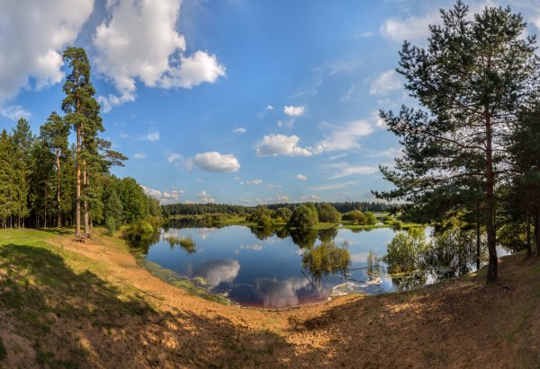 Вырица река Оредеж