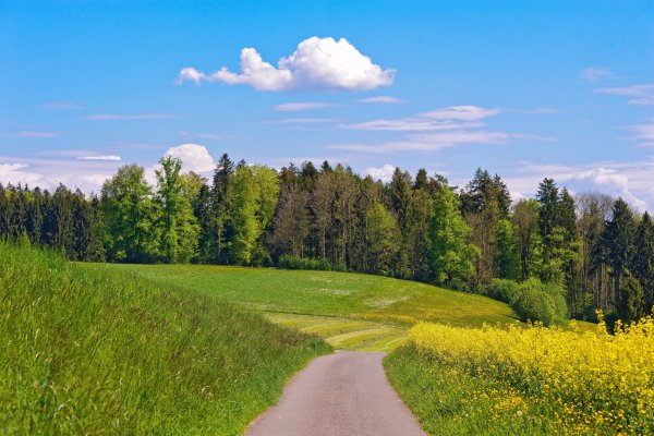 Река Березка Тверская область