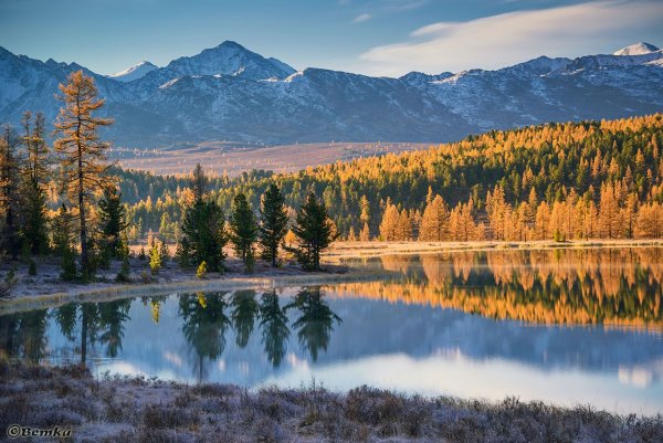 Родные просторы Пушгоры панорама