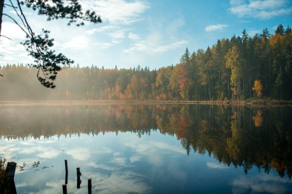Озеро зеркальное Ленинградская область