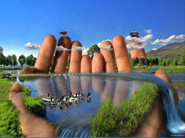 Матушка природа