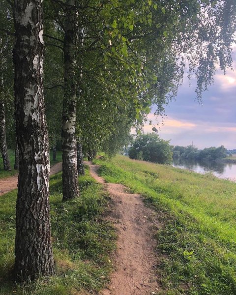 Звенигород природа