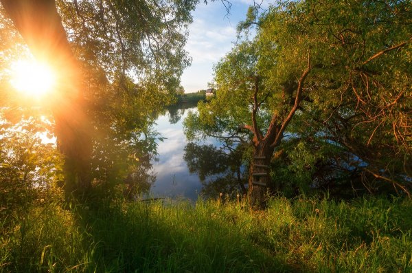 Город Дубна природа