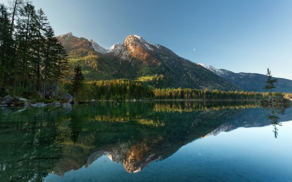 Горы лес вода