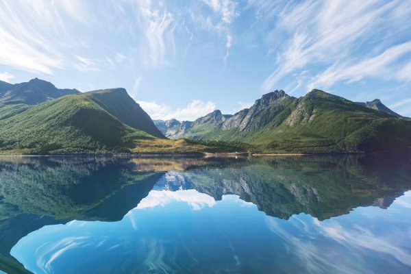 Горы лес вода