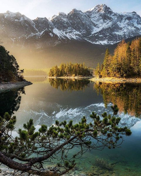 Фон природа