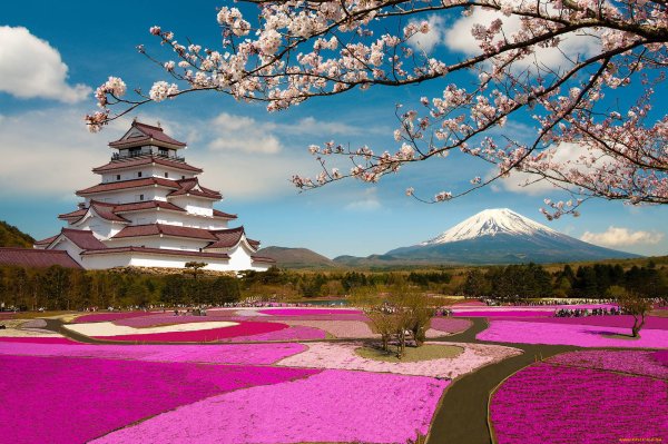 Япония парки пруд Osaka