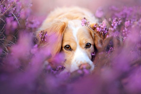 Природа осенью