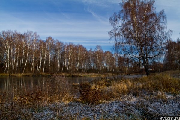 Ноябрьский пейзаж
