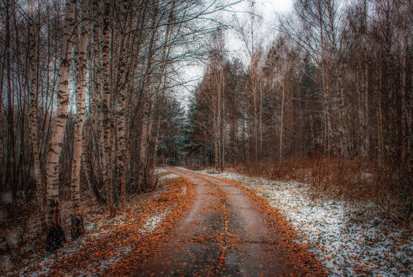 Поздняя осень фото