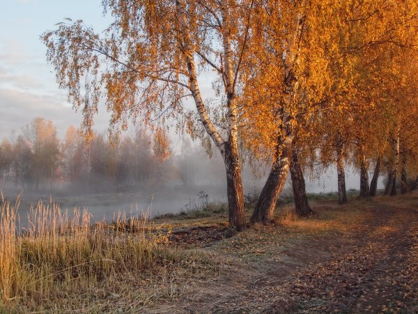 Поздняя осень