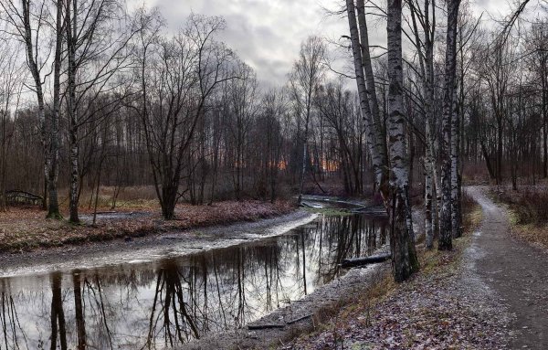 Дудергофский парк поздняя осень