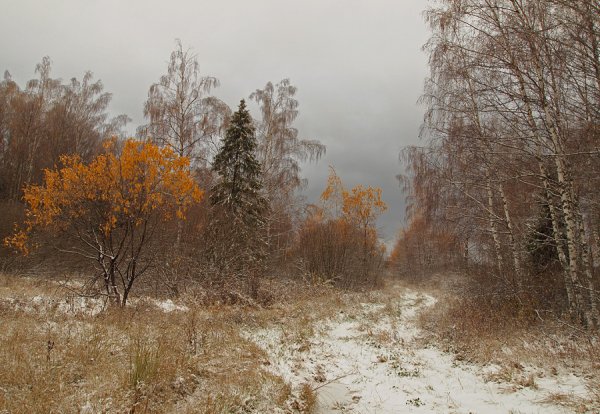 Поздняя осень пейзаж