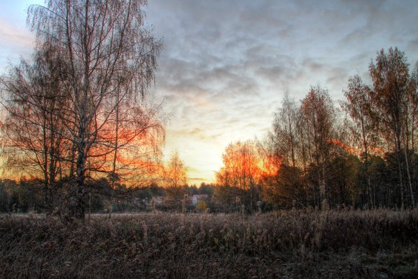 Поздняя хмурая осень