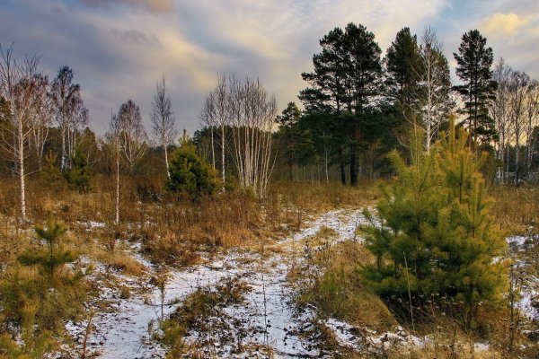 Томская область осень