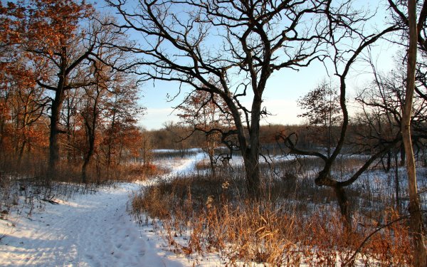 Поздняя осень