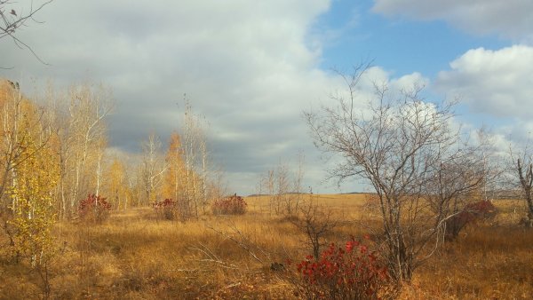 Поздняя осень в деревне
