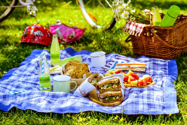 Международный день пикника (International Picnic Day)