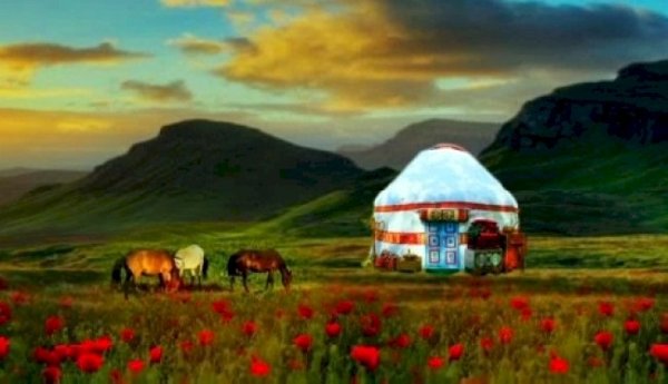 Кулундинская степь юрта