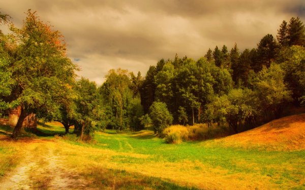 Природа горы лес река