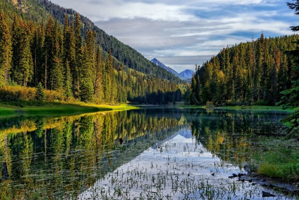 Альпийские Луга Италии