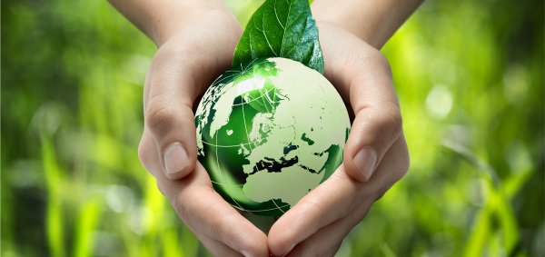 Картинка интернета зеленая