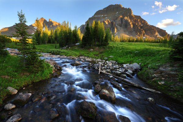 537x240 природа