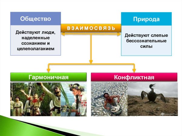 Человек и природа