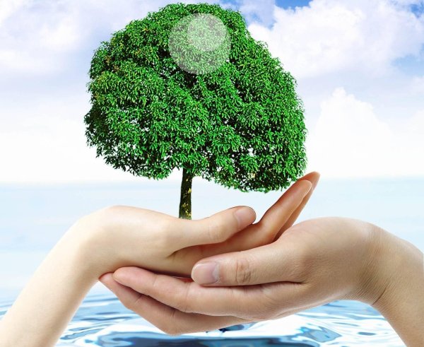 Охрана природы и окружающей среды