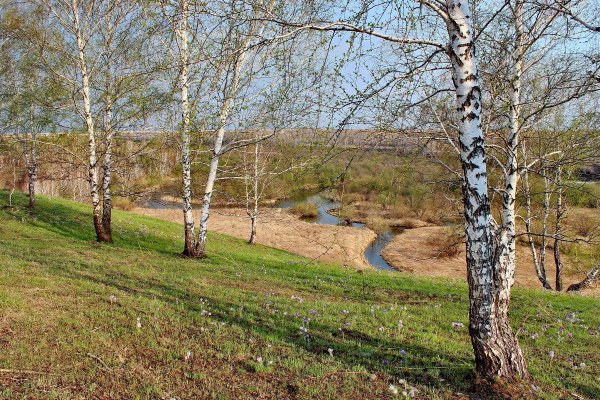 Доброе утро природа Весна