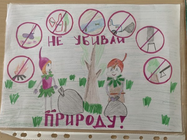 Эколята друзья и защитники природы