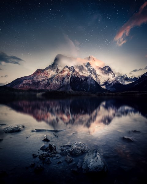 Пейзаж море лес