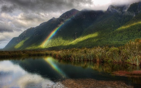 Удивительная природа