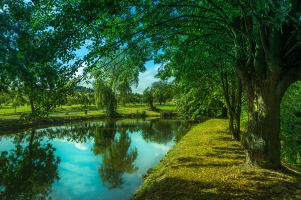 Красивая яркая природа