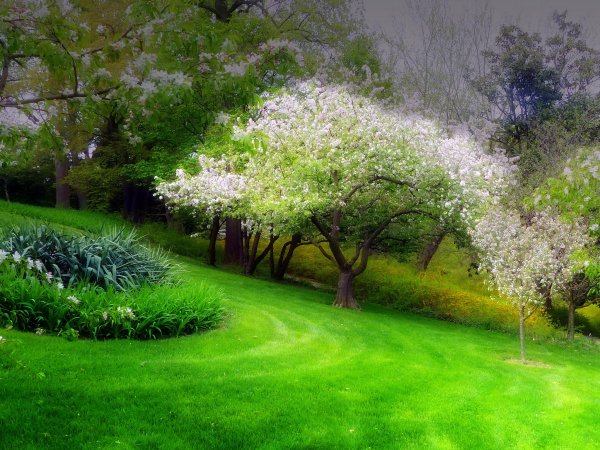 Весенний сад (Spring Topiary Garden)